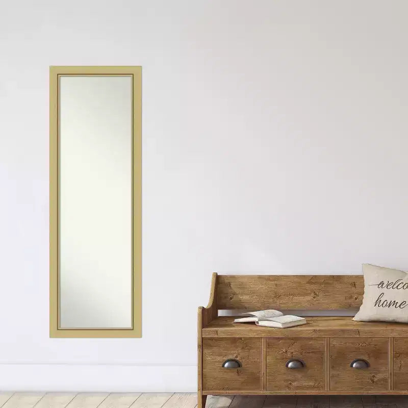 Miroir Mural Pleine Longueur, Cadre Doré Fin, 17,5" x 51,5", Fixation Porte ou Murale